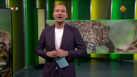 NOS Jeugdjournaal